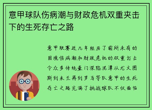 意甲球队伤病潮与财政危机双重夹击下的生死存亡之路