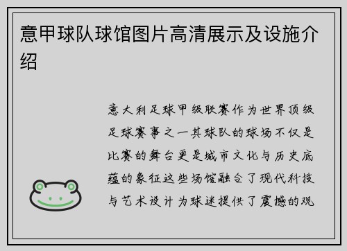 意甲球队球馆图片高清展示及设施介绍