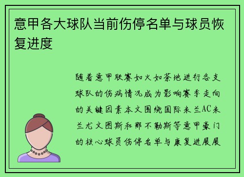 意甲各大球队当前伤停名单与球员恢复进度